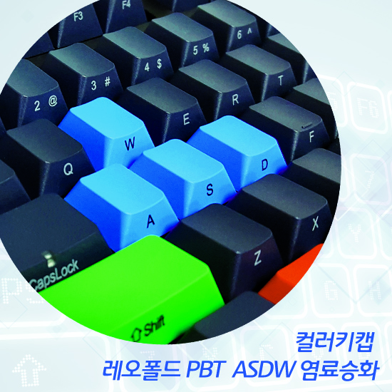 레오폴드 PBT  ASDW 염료승화 컬러키캡 - 영문정각(상단)