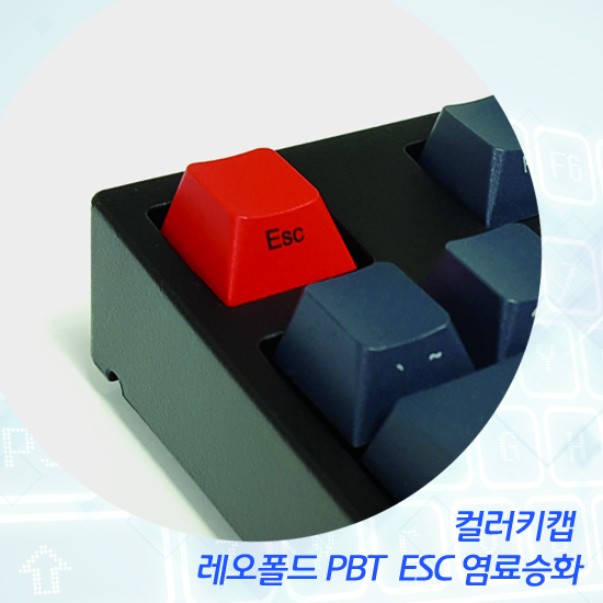 레오폴드 PBT  ESC 염료승화 컬러키캡 - 영문정각(상단)